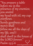 Psalm23v5-6.png