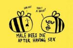male bees.jpg