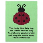 garden ladybug.jpg