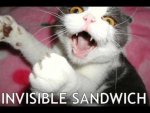 invisible sandwich.jpg