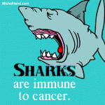 immune sharks.gif