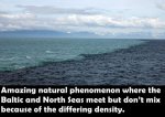 natural phenomena.jpg