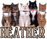 heather kitties.jpg
