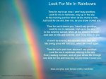 Look For Me In Rainbows.jpg