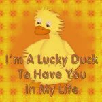 Lucky Duck.jpg