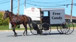 amish-horse-and-buggy.jpg