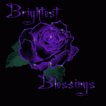 0 Brightest Blessing Purple Rose..gif
