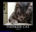 Thinker Cat.jpg