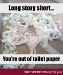 Toilet Paper Cat.jpg