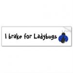 Brake For Ladybugs.jpg