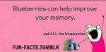 blueberry memories.jpg
