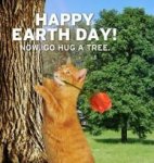 Earth Day Kitty.jpg