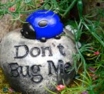 Don't Bug Me!.jpg