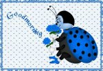 GM Blue Ladybug.jpg