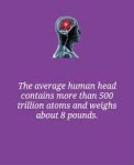 human head.jpg