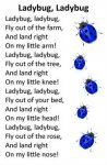 Ladybug Poem.jpg