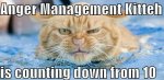 anger management kitty.jpg
