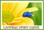 Ladybug Spirit.jpg