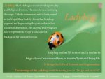 Ladybug's Message (2).jpg
