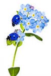 Ladybugs on a Flower.jpg