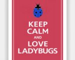 love ladybugs.jpg