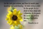 Proverbs 2v6-8.jpg