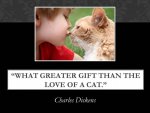 cat.quotes.charles.dickens.jpg