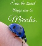 Tiniest Miracles.jpg