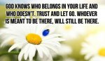 Trust & Let Go.jpg