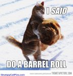 do a barrel roll.jpg