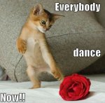 everybody dance now.jpg