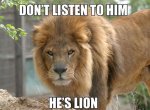 He's Lion.jpg