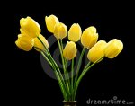 bouquet-yellow-tulips-14403845.jpg
