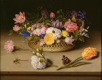 Ambrosius_Bosschaert_the_Elder_(Dutch_-_Flower_Still_Life_-_Google_Art_Project.jpg