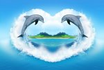Dolphin-Free-Wallpaper-Images1.jpg