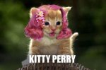 Kitty Katy Perry.jpg