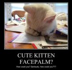 Kitten Facepalm.jpg
