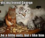 nutty George.jpg