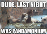 Panda-monium.png