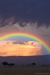 12362-Beautiful-Rainbow.jpg