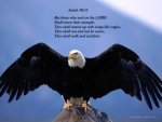 Bald_Eagle-Wingspan-1024x768 christian-wallpaper.jpg