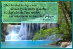 Tree-planted-by-the-rivers-of-water-Psalm-1-3.jpg