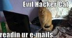 evil hacker cat.jpg