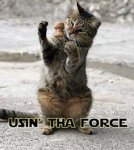 using the force.jpg