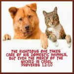 Proverbs 12v10 (2).jpg