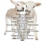 Psalm 23-1.jpg