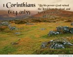 1 Corinthians 6v14.jpg