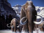 scientists-have-almost-discovered-how-to-resurrect-a-woolly-mammoth.jpg