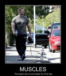 muscles-little-dog-big-guy1.jpg