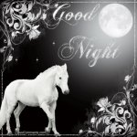 good-night-horse-glitter.jpg